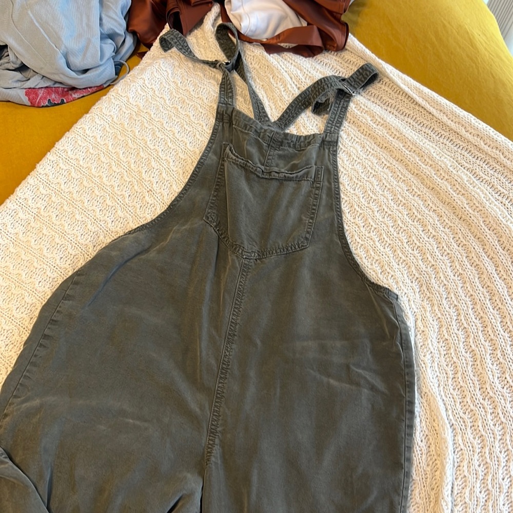 Aerie Overalls